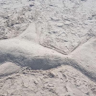 Resized 20180817 121939 6702