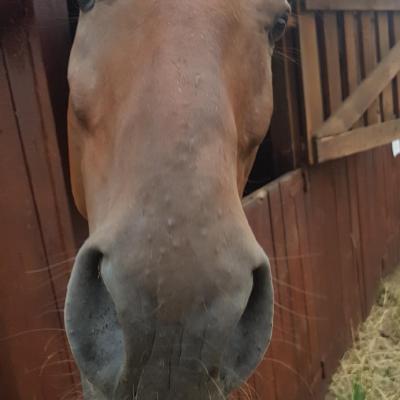 Resized 20180827 184940 8109