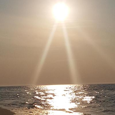 Resized 20190406 182023 5974