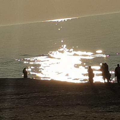Resized 20190420 185252